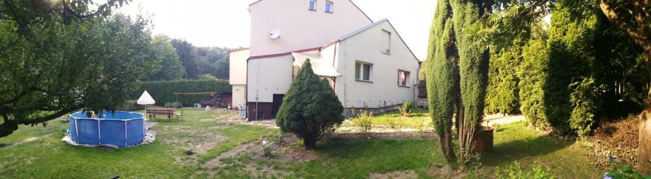 Apartment U Sarky Loket Exterior photo